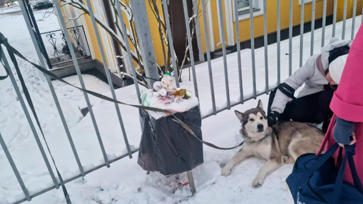    Фото: соцсети