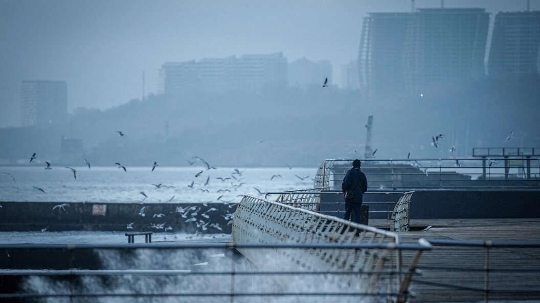    Kay Nietfeld/dpa/Globallookpress