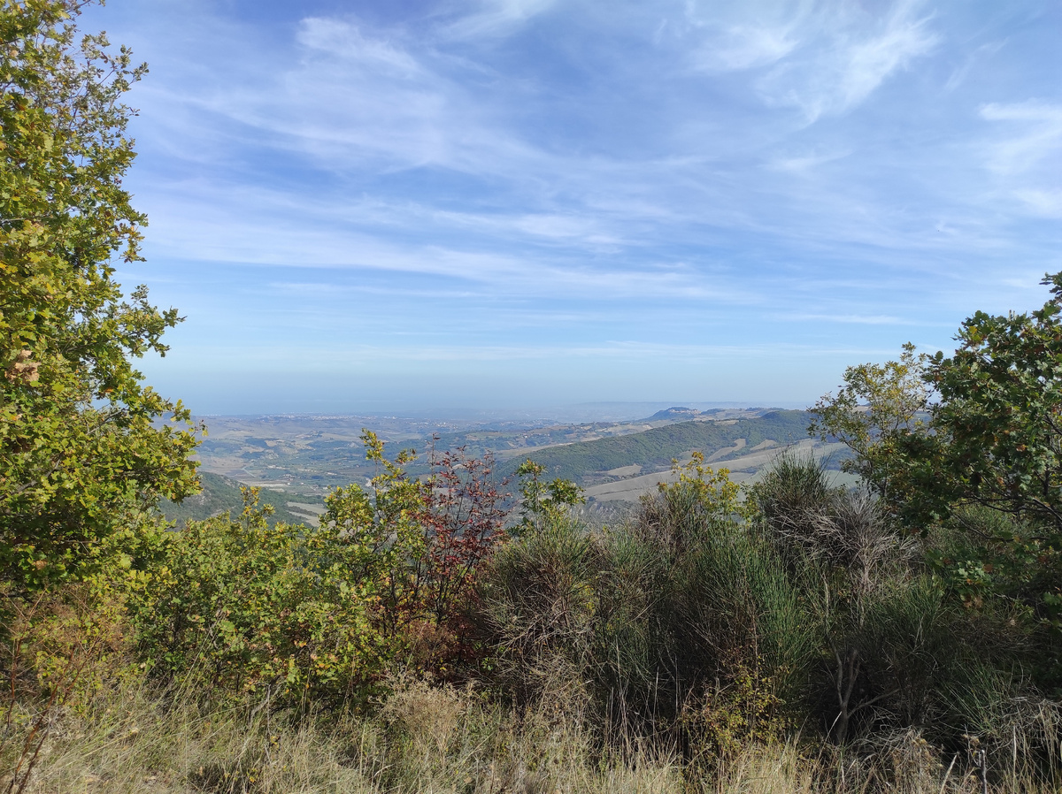 Этот лес называется "кастаньята" - "каштановый лес", хотя ни одного каштана мы так и не встретили