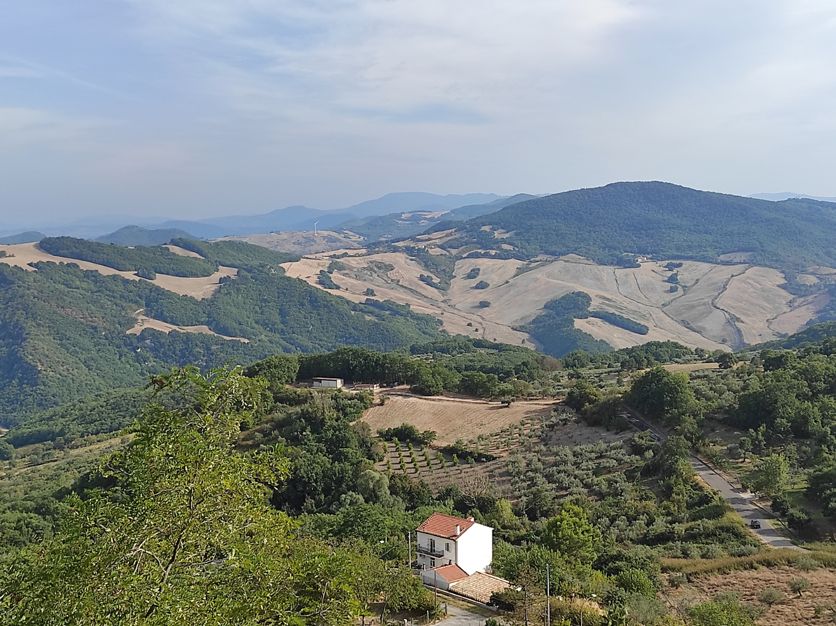 Просто вид на холмы