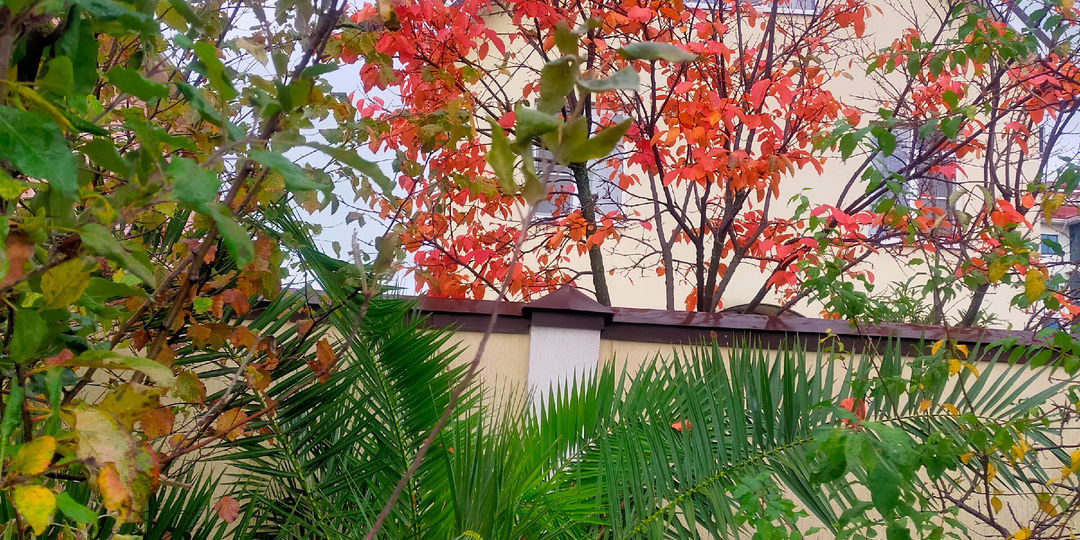 ДЕЛАЙ ЭТО ПОЛУЧИШЬ РЕЗУЛЬТАТ