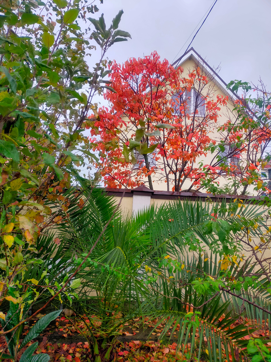 Фото автора 