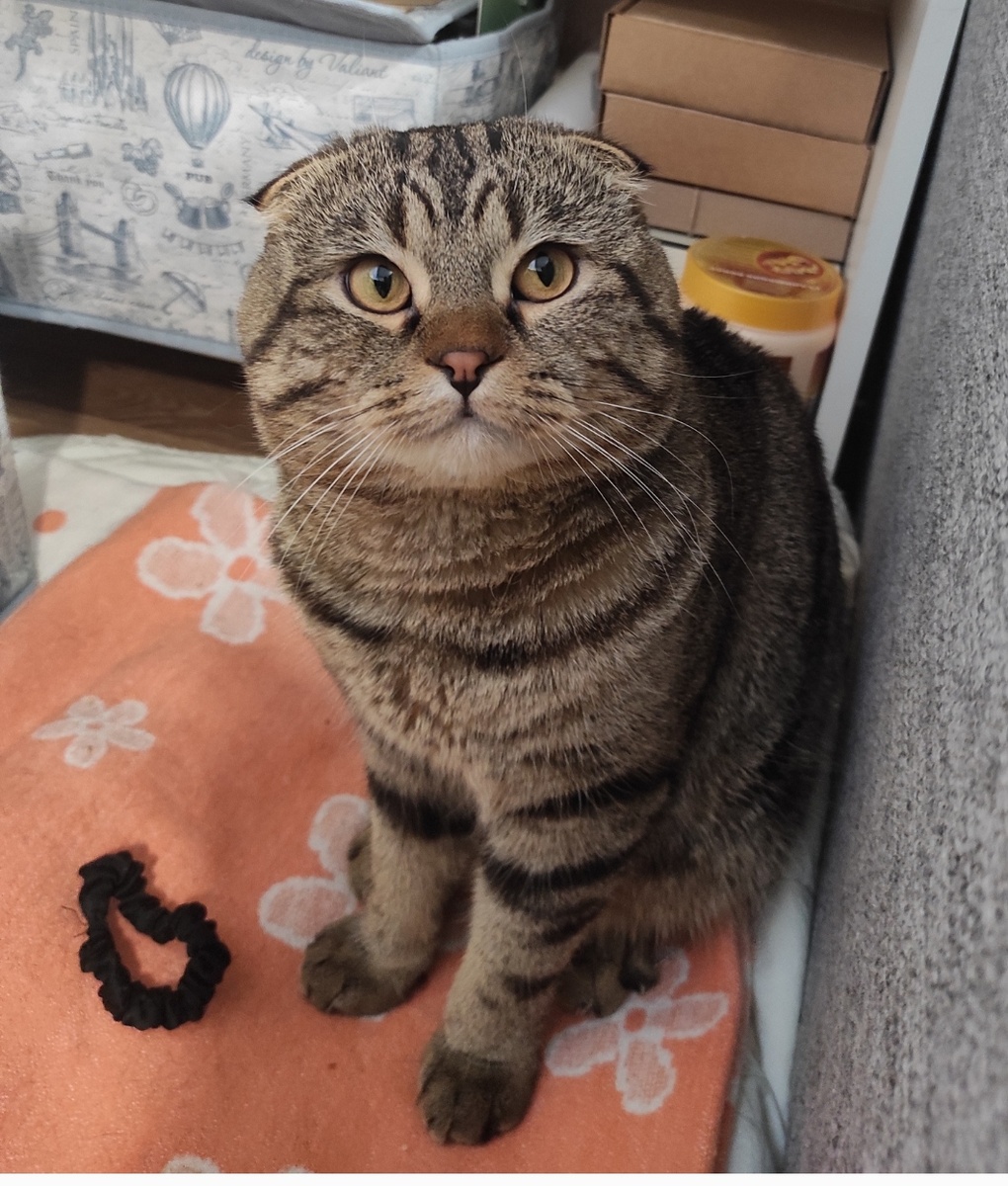 «А я вас вижу!»