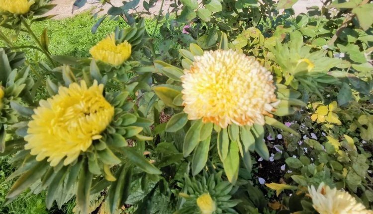    Фото: Лукьянов Дмитрий, AgroXXI.ru