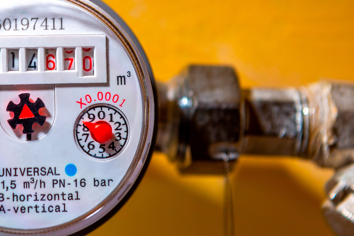    Фото: Evgenii Panov / Shutterstock.com