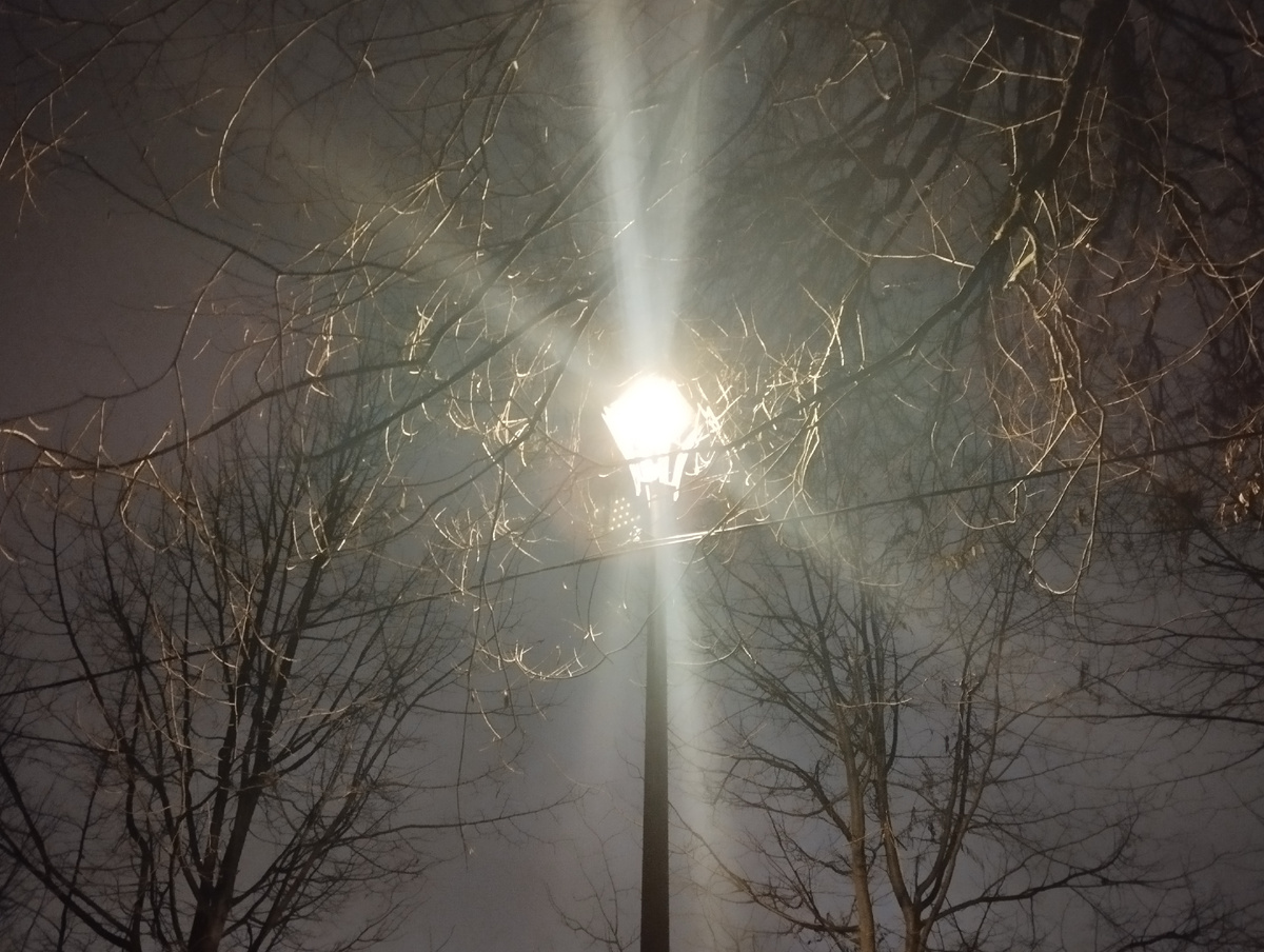 Фонарь. Усадьба Алтуфьево. Прогулка моя. Фото тоже моё. ЗДЕСЬ и далее.