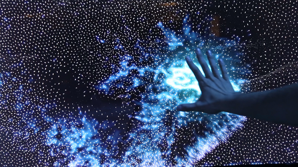   фото из открытых источников,