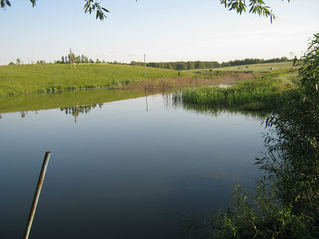 Еновка. Берег заросший...Некому теперь купаться. да и Еновки больше нет.