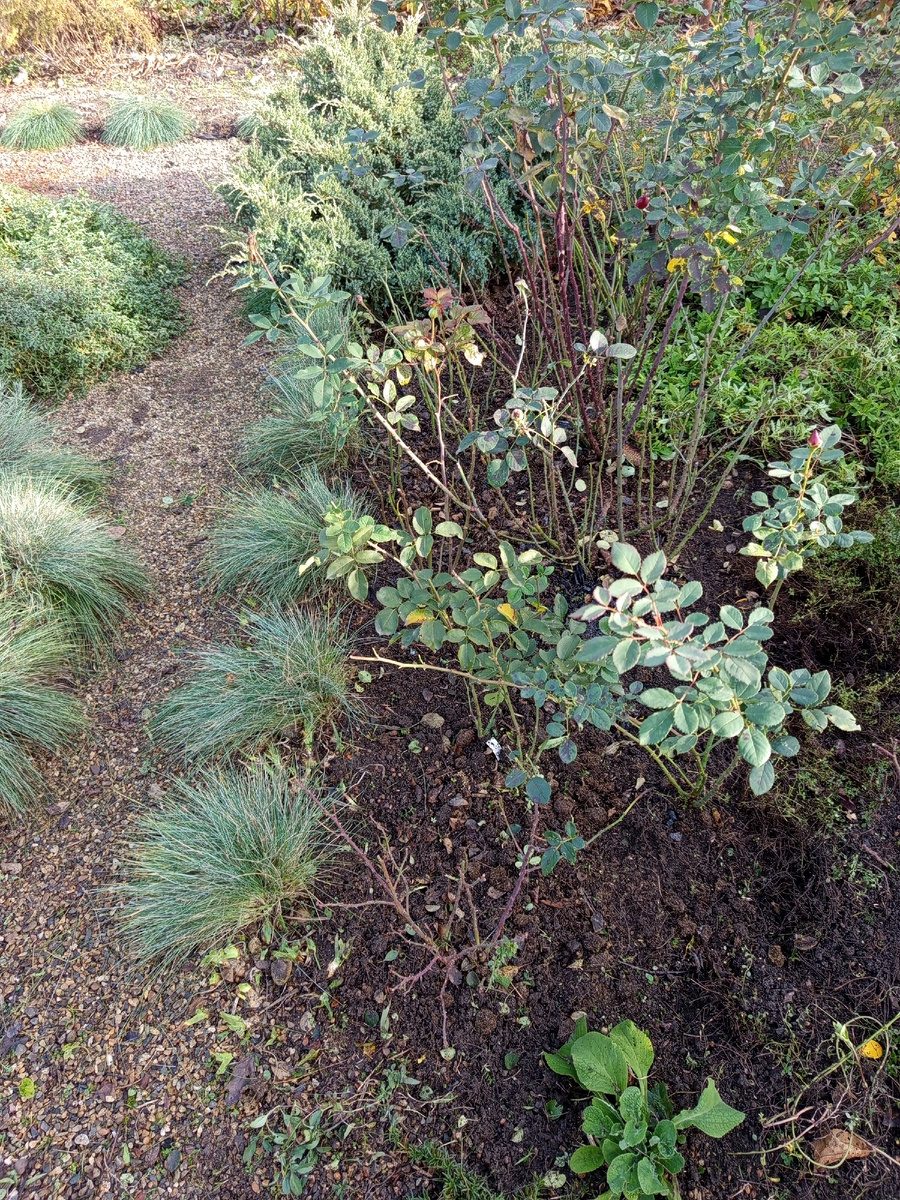 ЧП разгулялось 😳