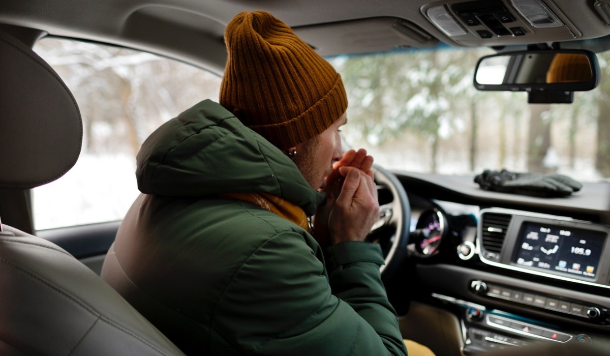    Фото: freepik.com