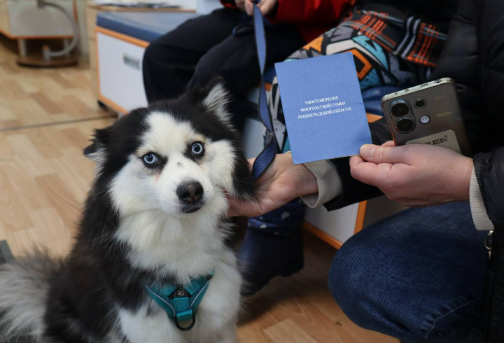фото: Госветслужба Ленобласти
