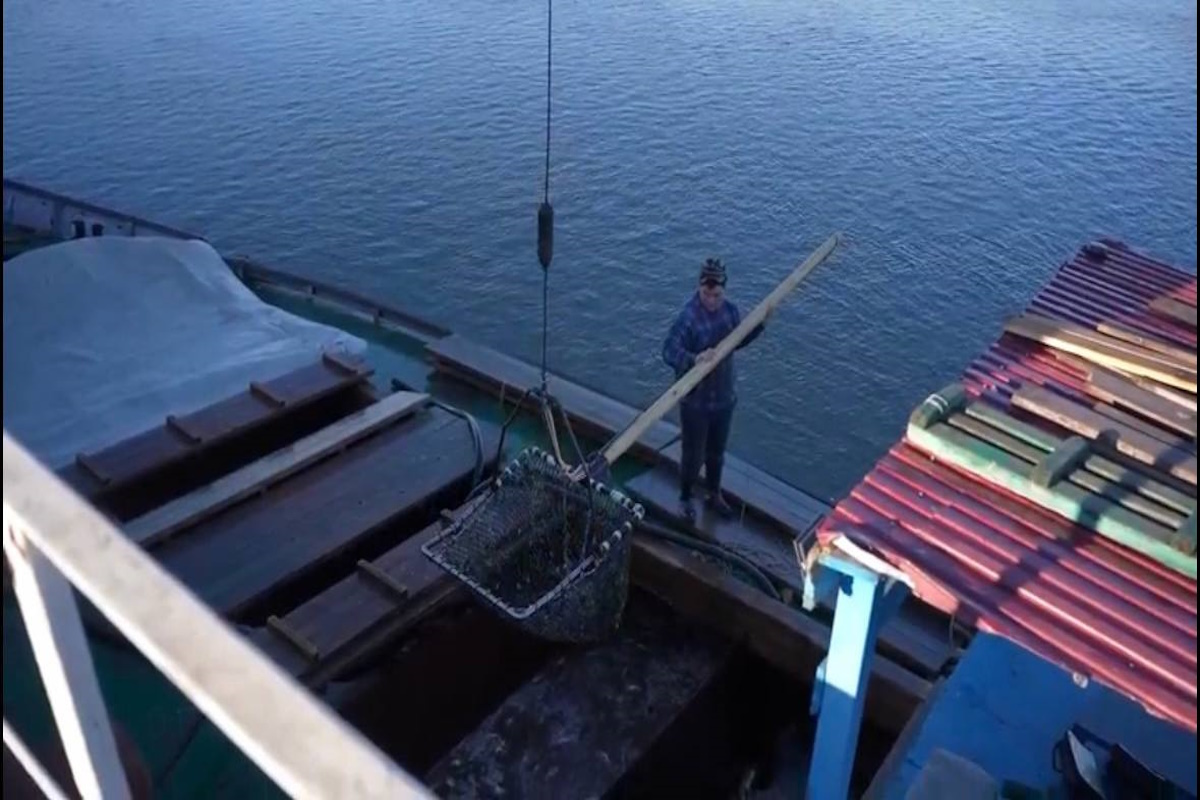    Фото: администрация губернатора Астраханской области, источник: astravolga.ru