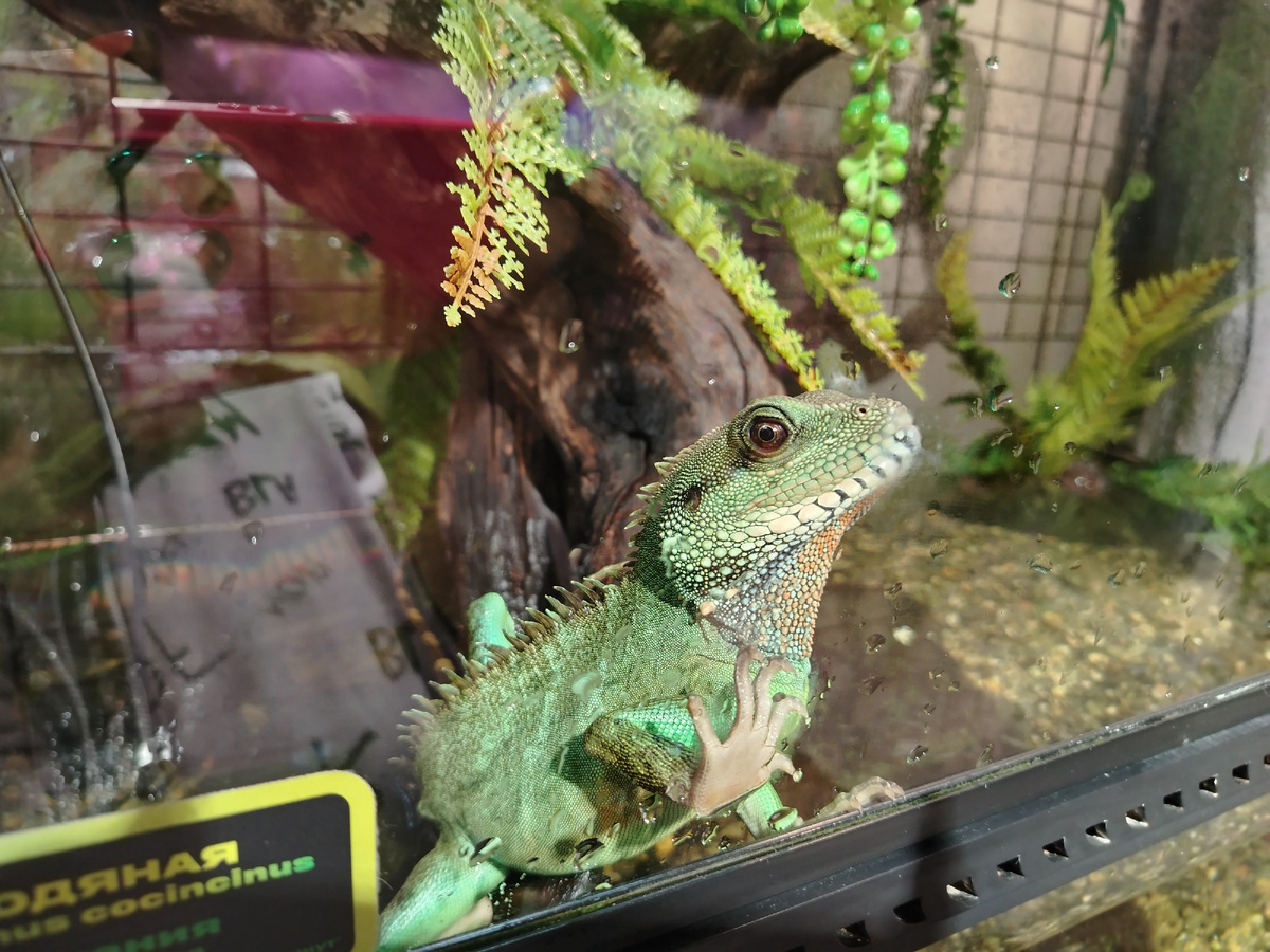 Ну и взгляд,...)