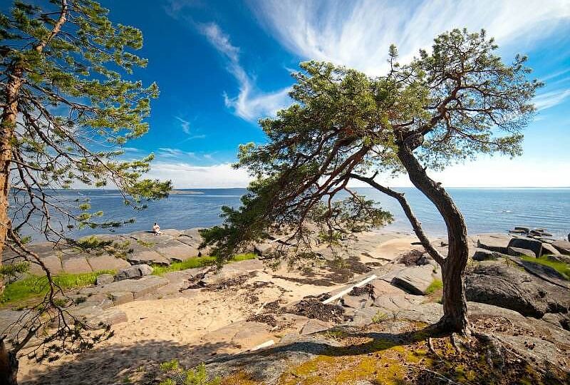 Онежский район: Где Белое море встречается с былинами
