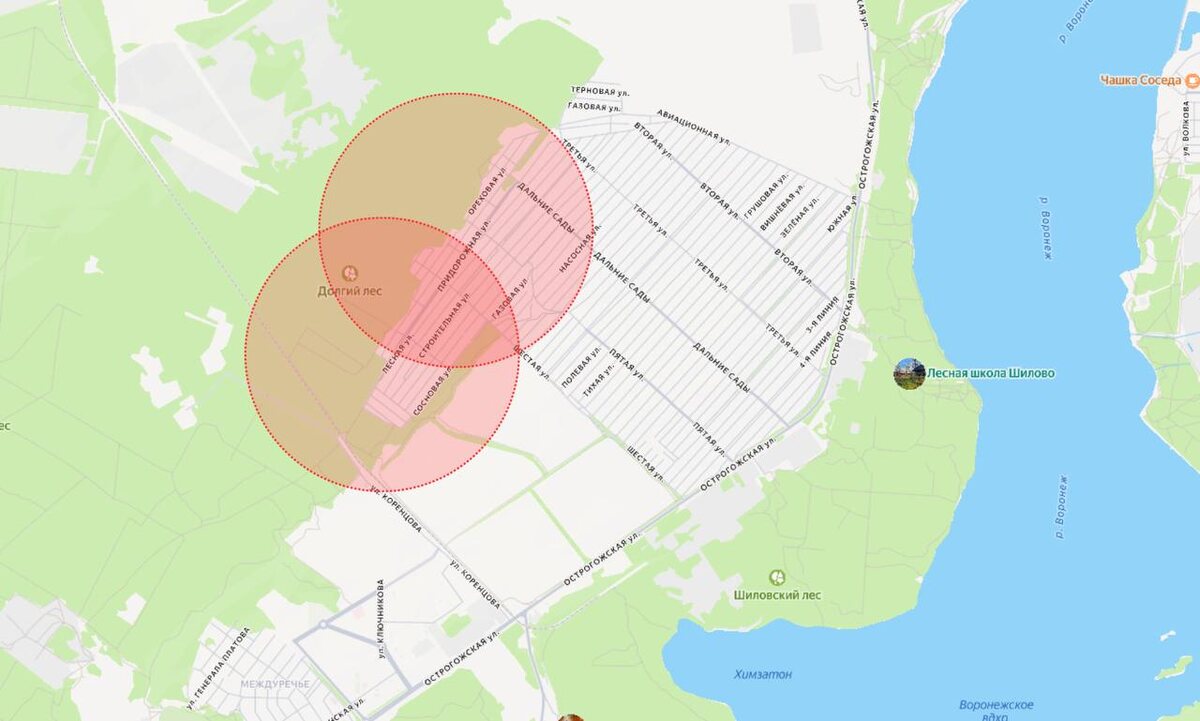     Фото предоставлено пресс-службой регионального правительства