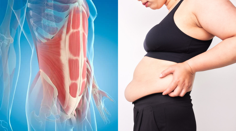 Поперечная мышца живота: ваш внутренний корсет | C ней талия подтянется и ваша жизнь преобразится