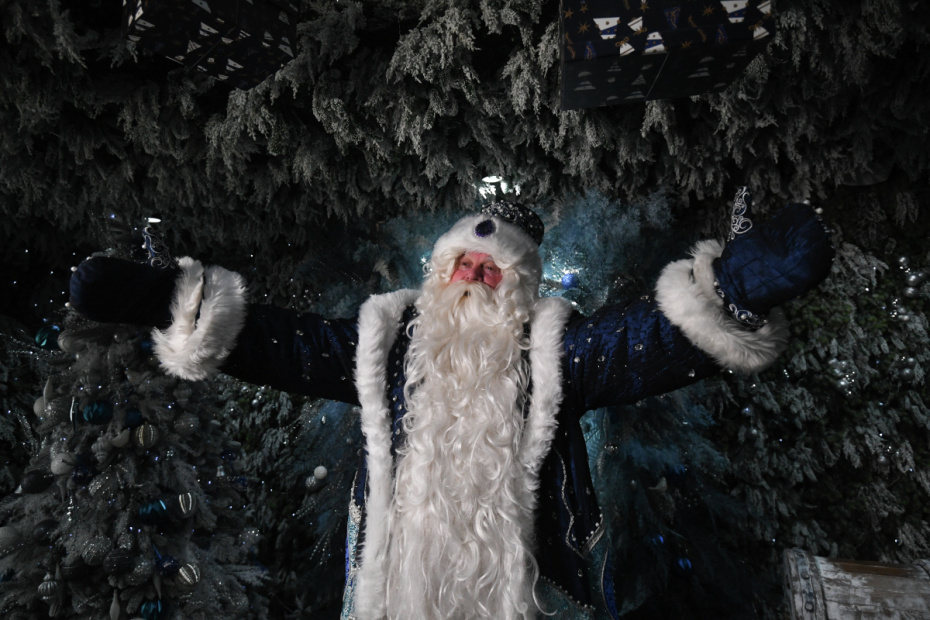    Кирилл Каллиников/РИА Новости