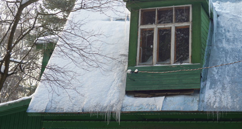    "Так и знал, что вы из России": как немцы точно определяют, что в квартире живут россияне