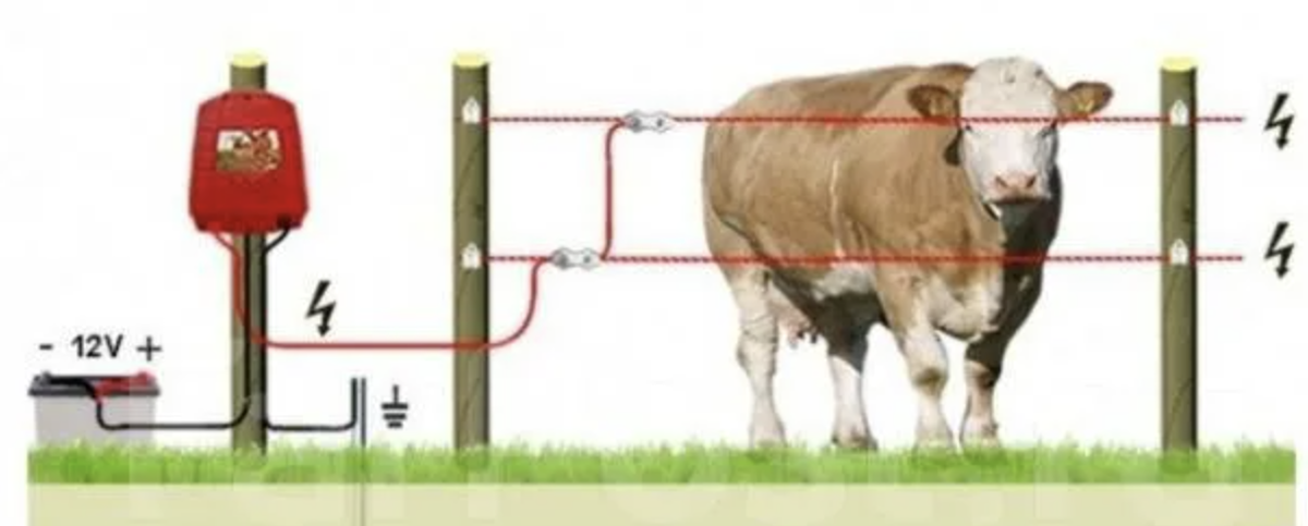 Изначально у "гаджета" такое предназначение
