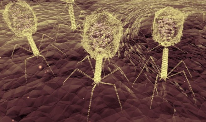 "КОСМОПОЛИТЕН" В АПТЕКЕ