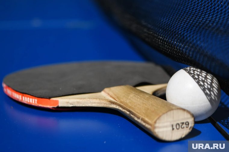     Турнир соберет более 800 участников из 32 регионов России