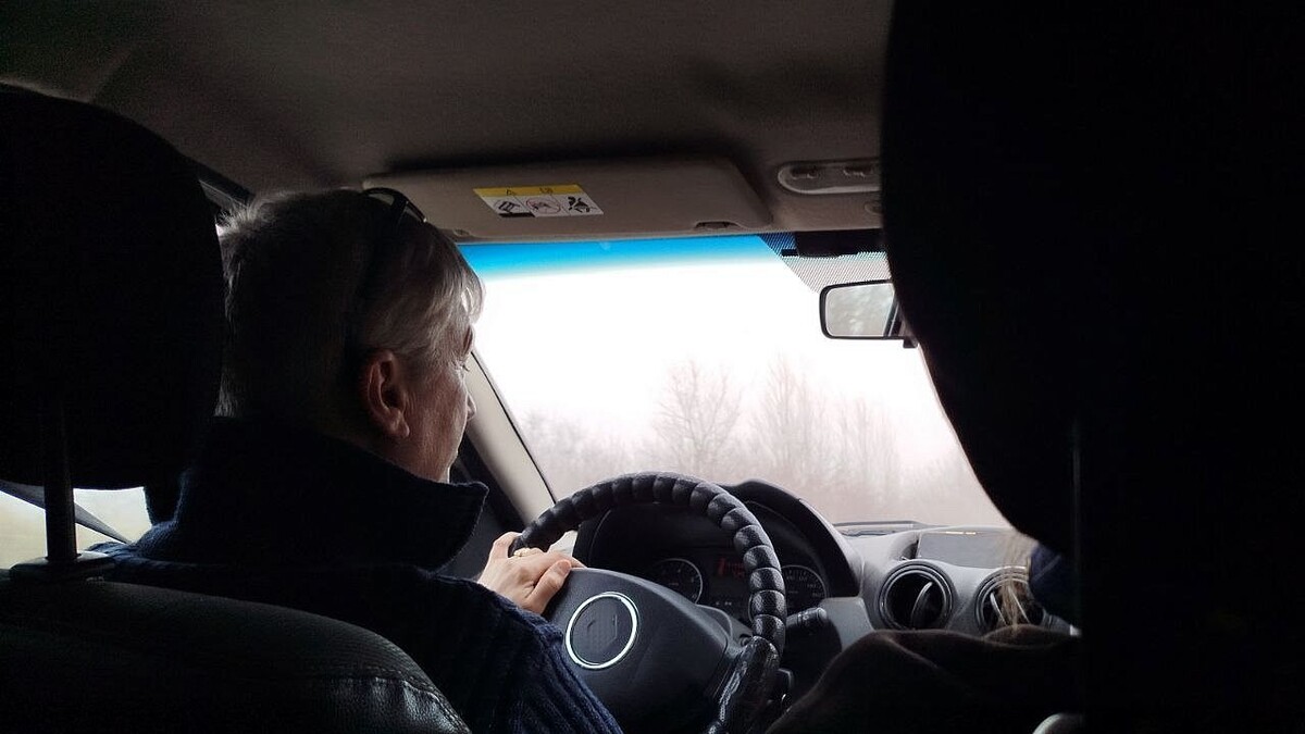    Фото: телеканал «Краснодар»