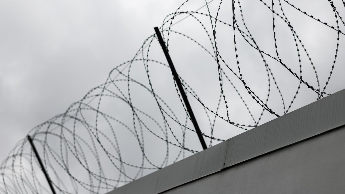    Фото: Sergey Elagin/Business Online