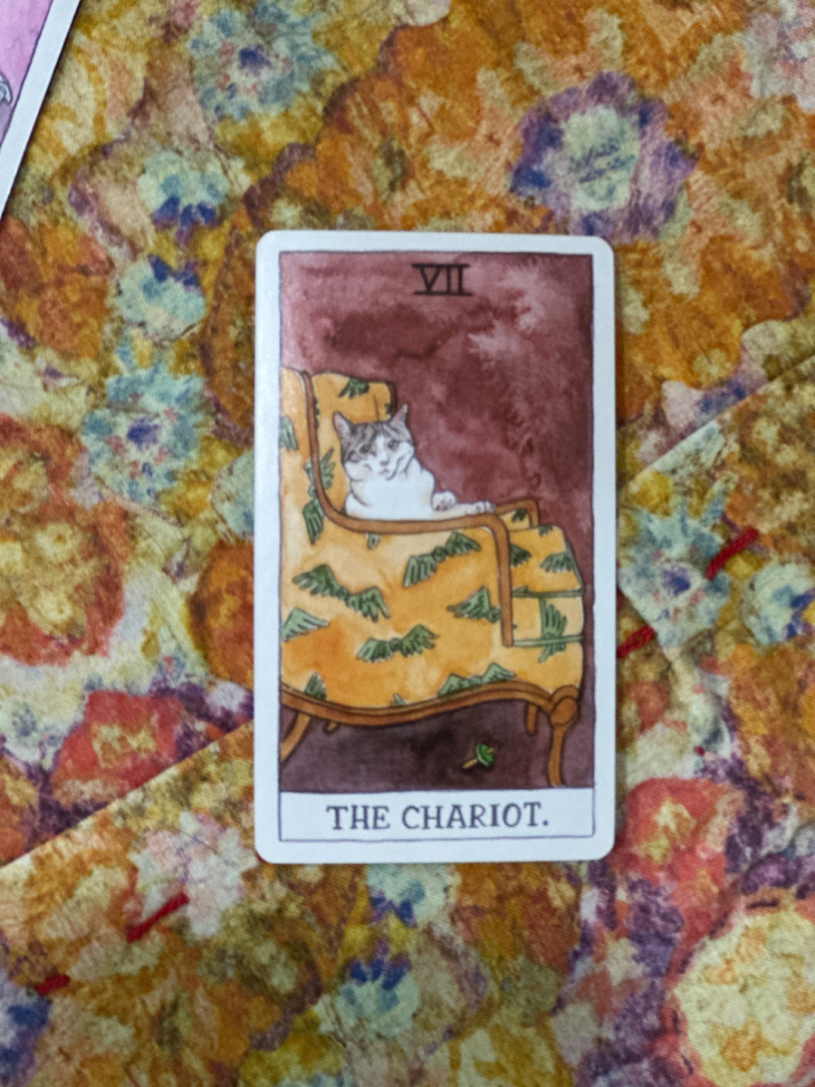 Фото из личной коллекции автора 