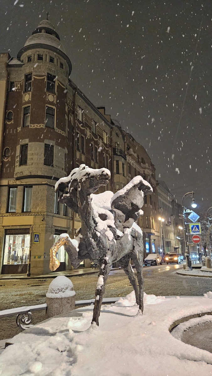 Большая Конюшенная улица (фотография автора)