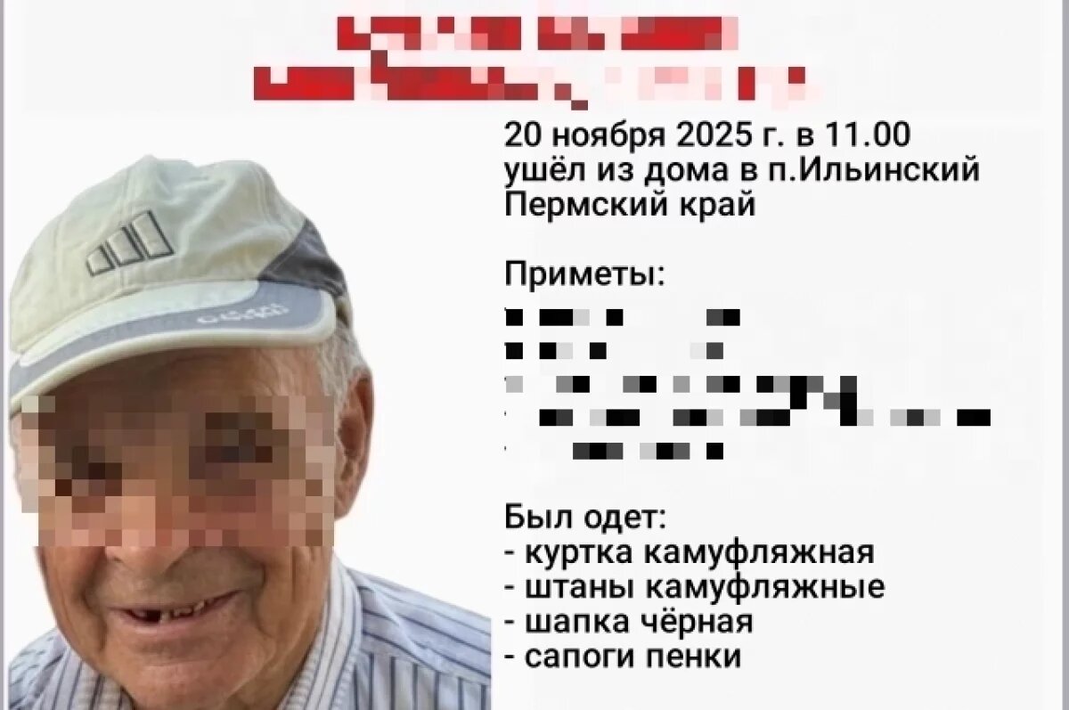    Остановлен поиск пенсионера в камуфляжном костюме, исчезнувшего в Прикамье