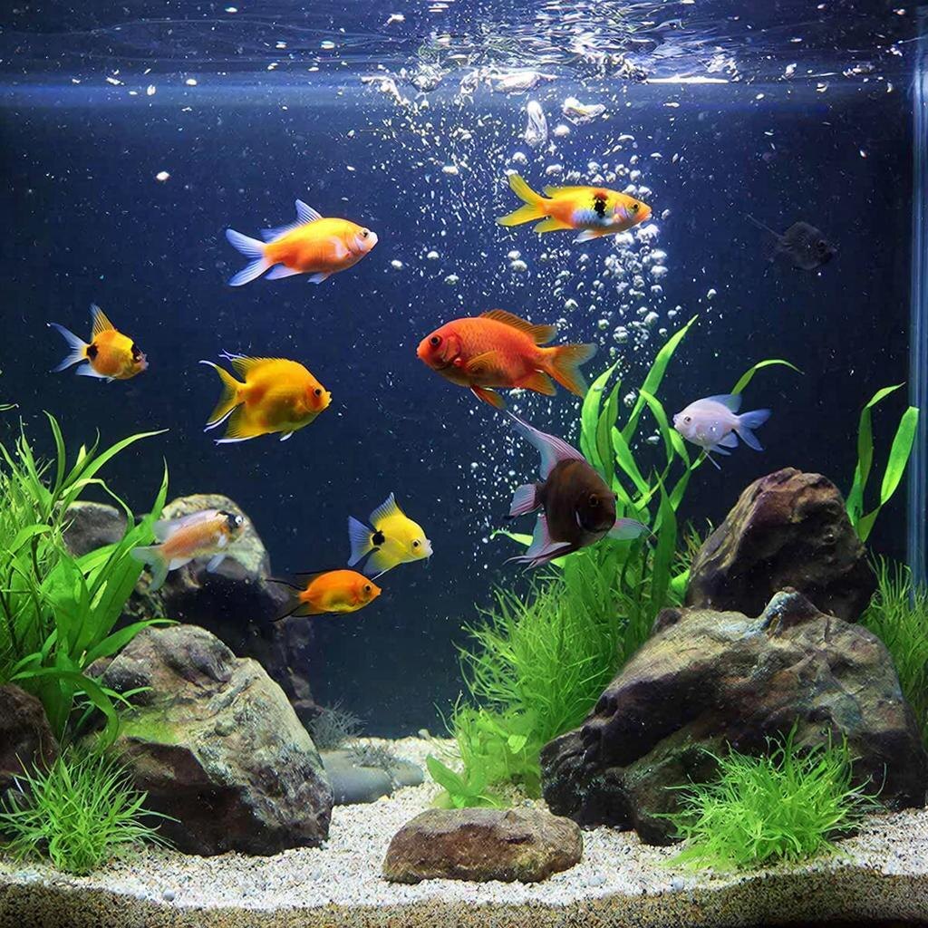 картинка ИИ