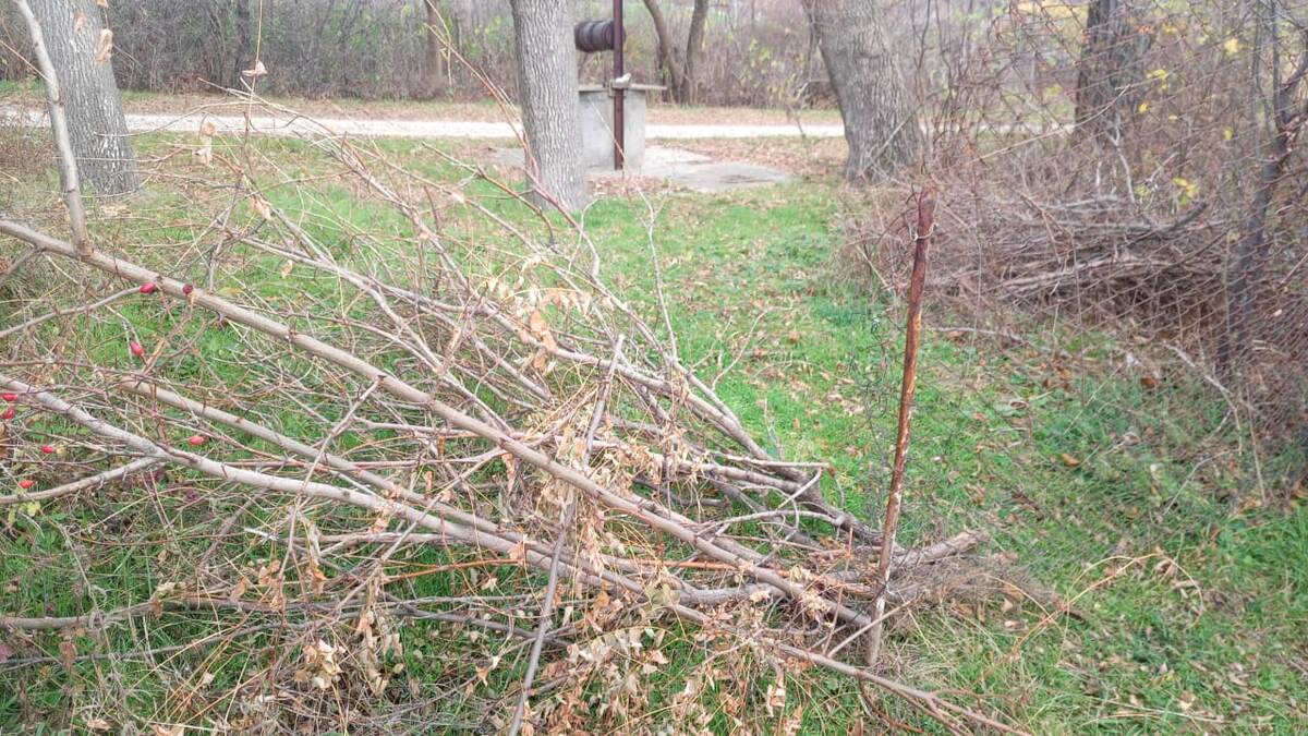 Здесь сетка обрезана и образовалась большая дырка в заборе.  Мы воткнули в землю лом.