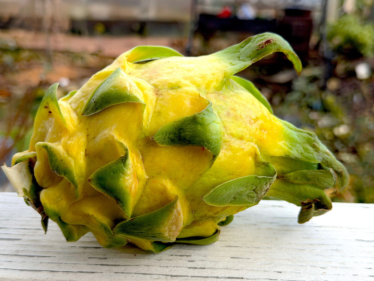 Вот такая мне досталась.