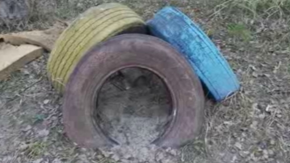     Заборы из отработанной резины всё чаще попадают в поле зрения курского Минприроды