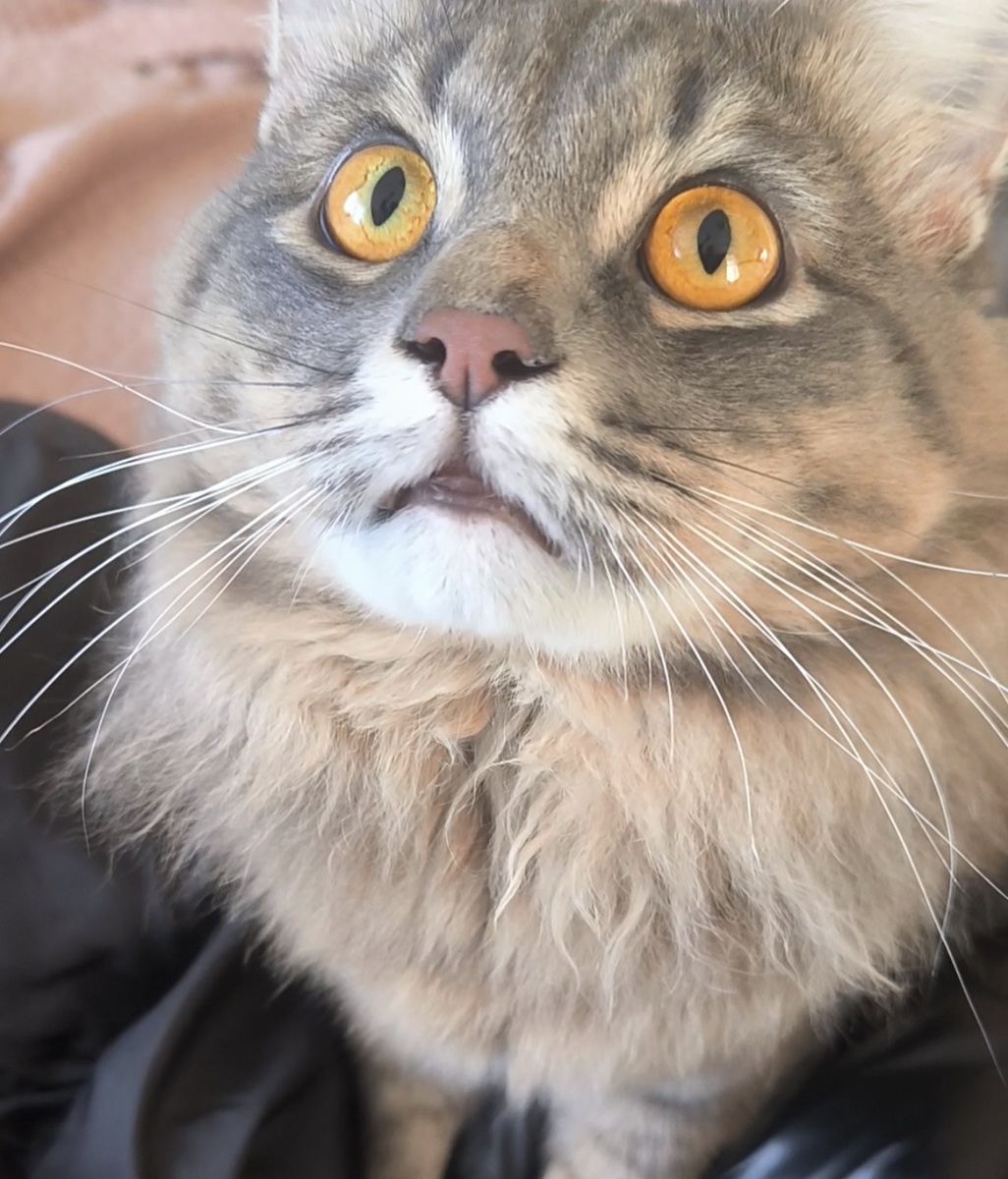 Фотографии в статье авторские... Баська