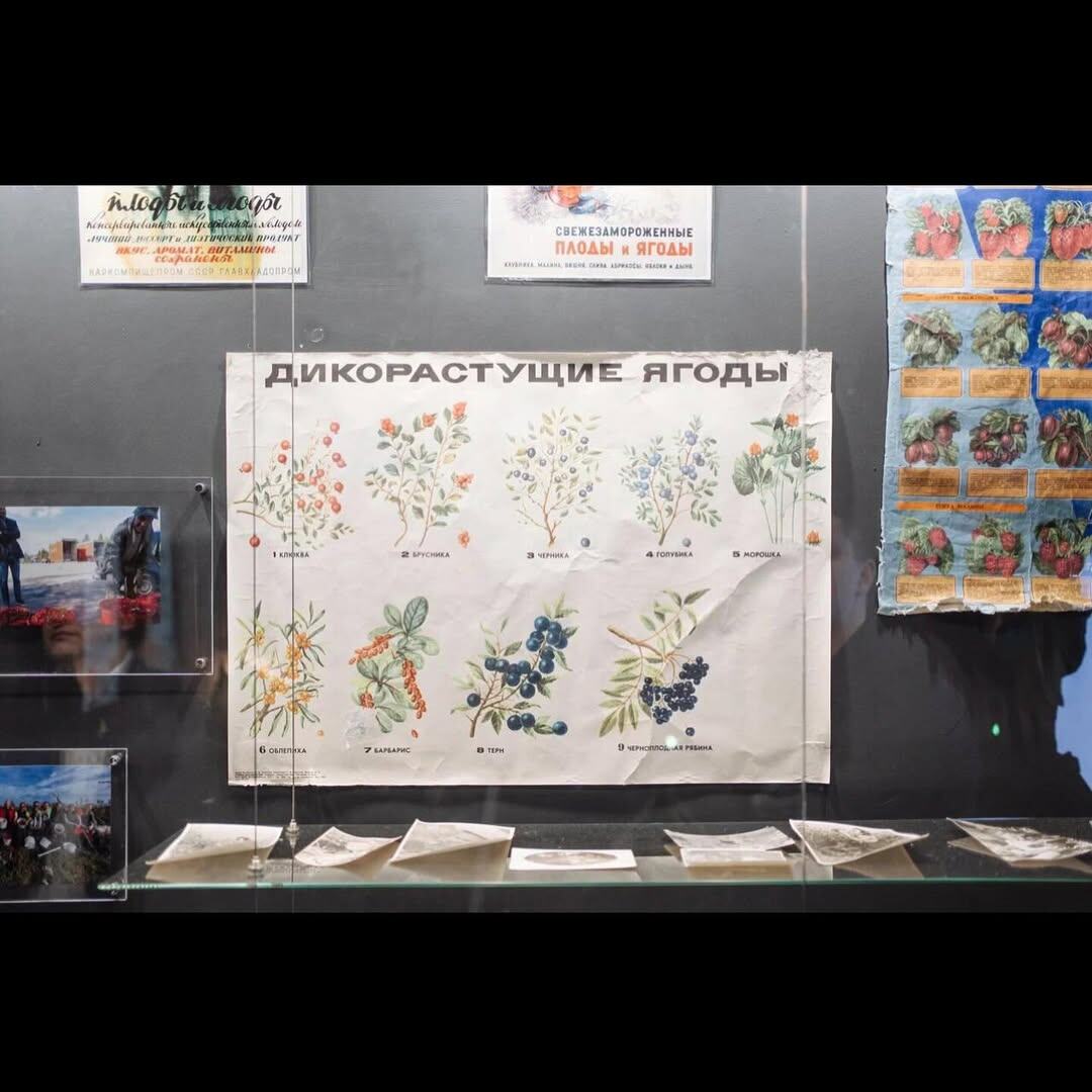 Музей ягод, г. Петрозаводск