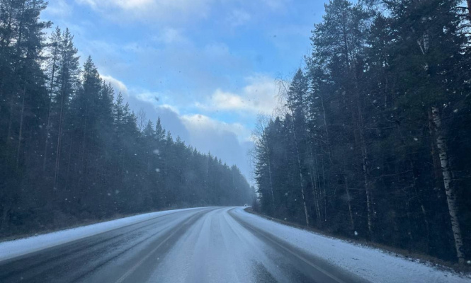    фото: ©ДТП Птз и Карелии / Иллюстративное фото