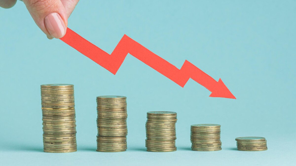    Фото: freepik.com