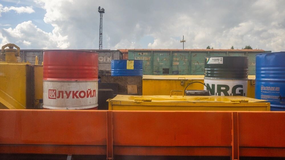    Фото: Dmitry-Arhangel 29/Shutterstock/Fotodom