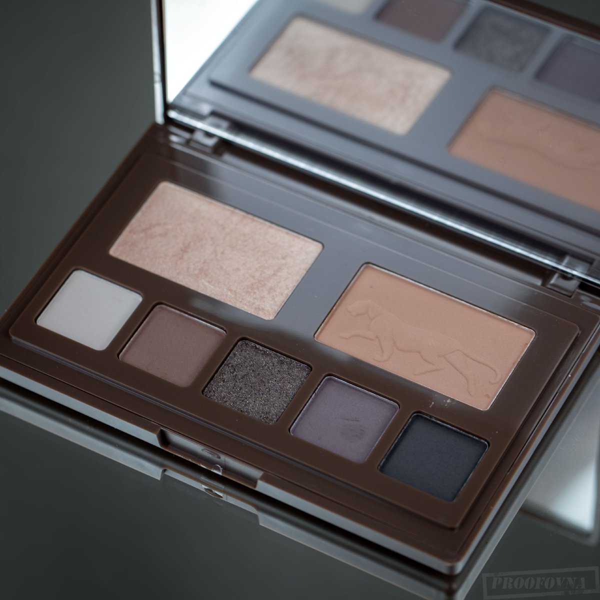 Палетка для лица и глаз Stellary Wild chic