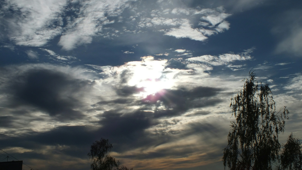    Фото: Victor Lisitsyn/Global Look Press/Globallookpress