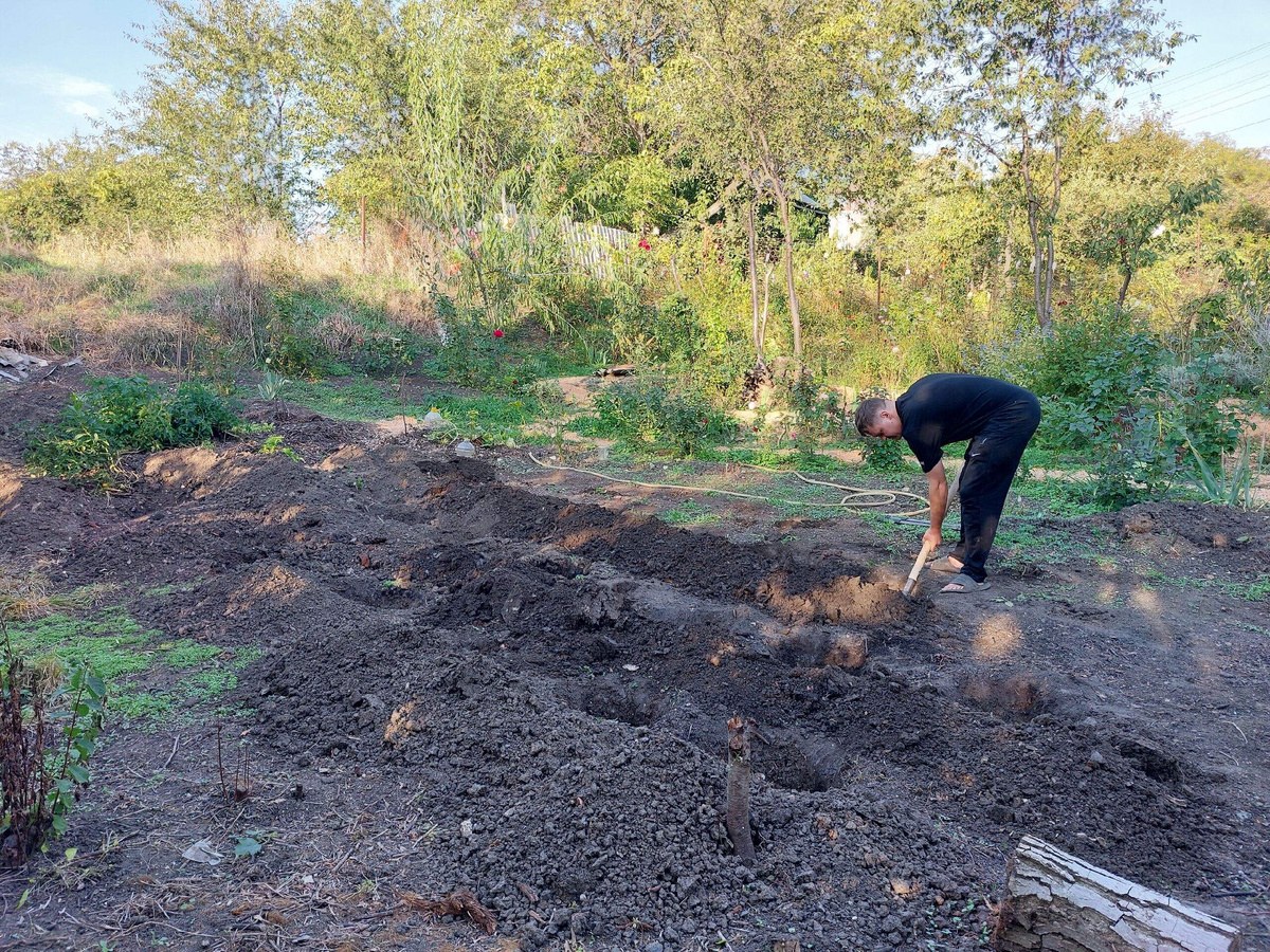 мой помощник 