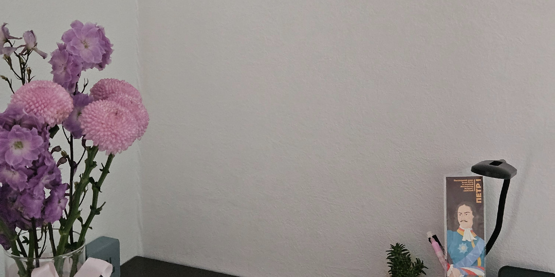 А так ли хороша эта ваша удалёнка? Спойлер - когда живёшь одна - нет.