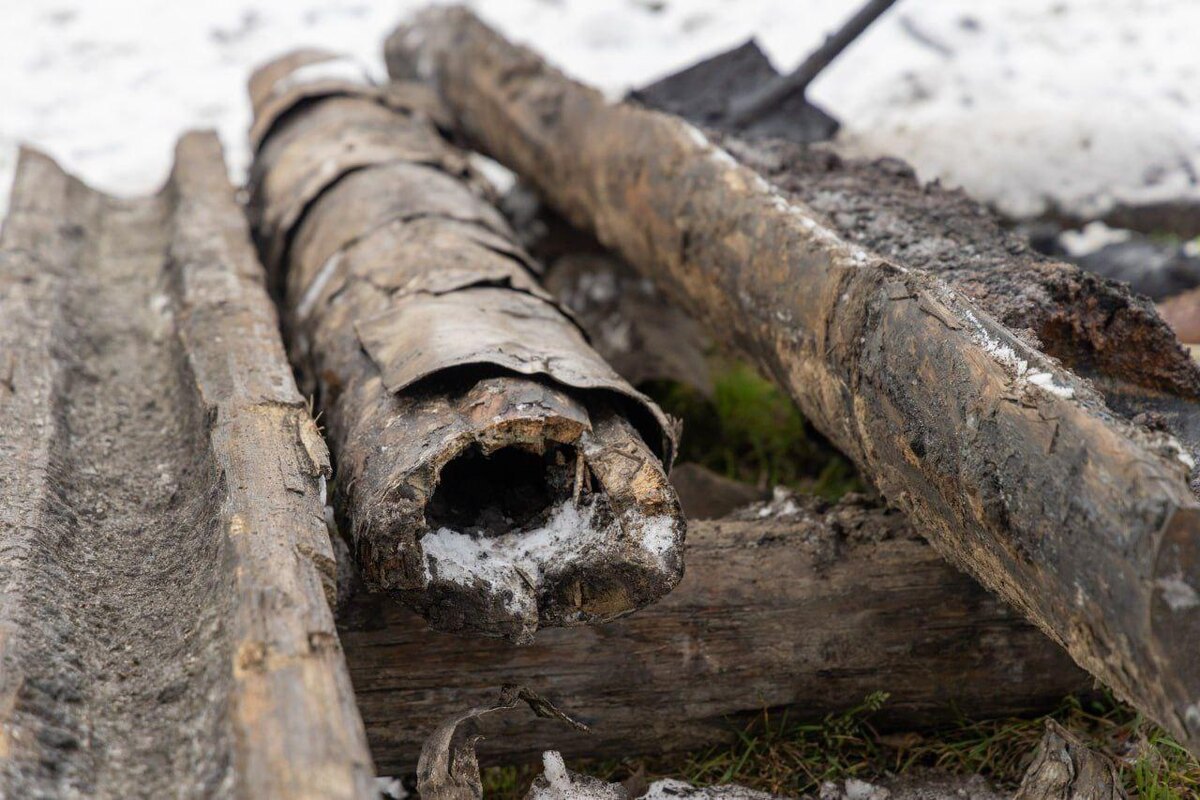    Фото: t.me/VDKSPB