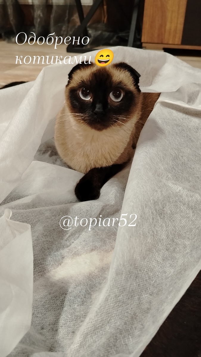 Наша Умка активно подрабатывает тестировщиком) 