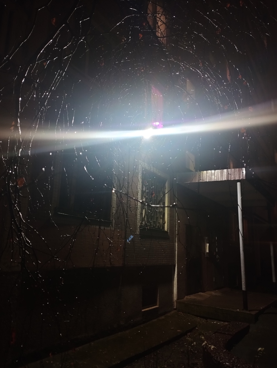 Дерево похоже на паутину, а я как паук в центре мироздания. Сняла сегодня случайно возвращаясь с работы :)