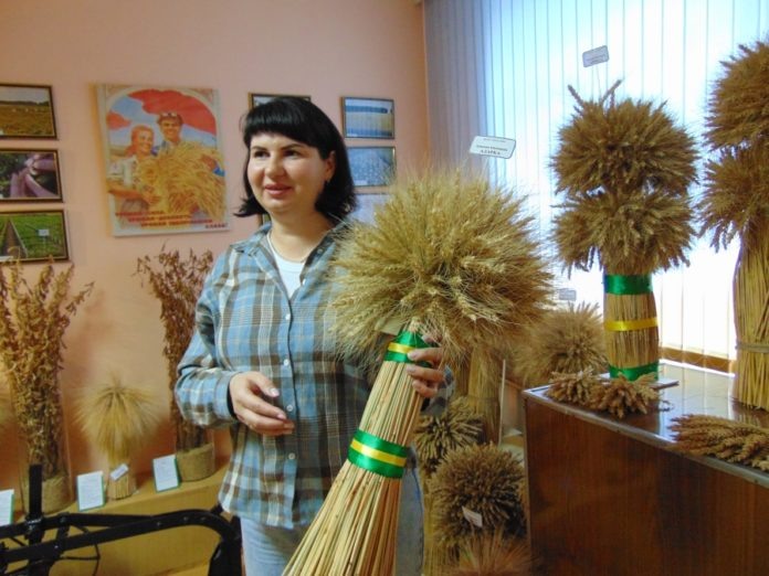 Кандидат сельскохозяйственных наук Ольга Левакова – одна из авторов нового сорта озимой пшеницы «Адарка». Фото Владимира Проказникова