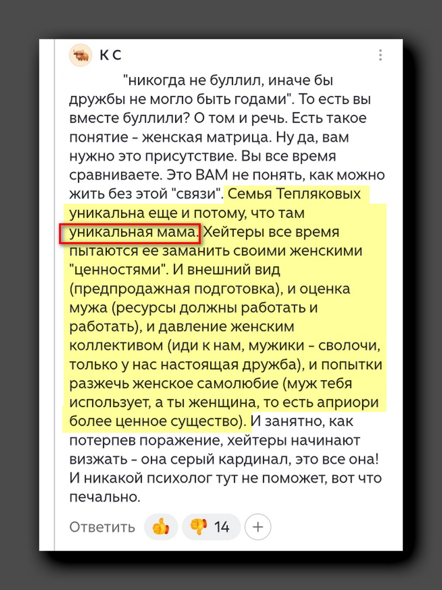 Комментарий, опубликованный на канале «Ученик+учитель»