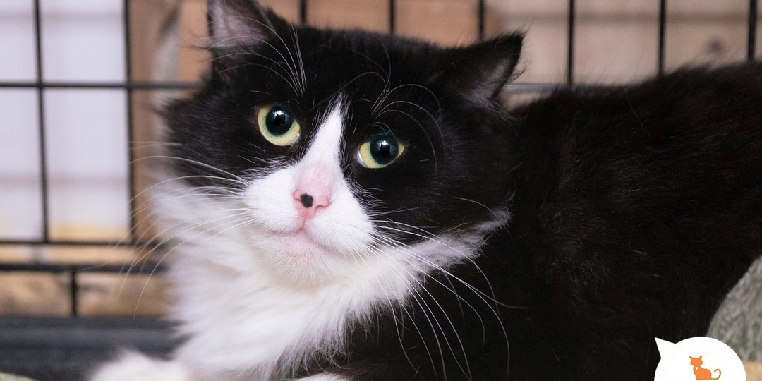 Вы станете счастливым на долгие годы