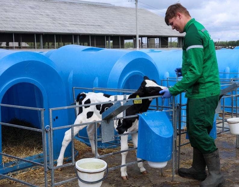 Источник фото: ТАСС